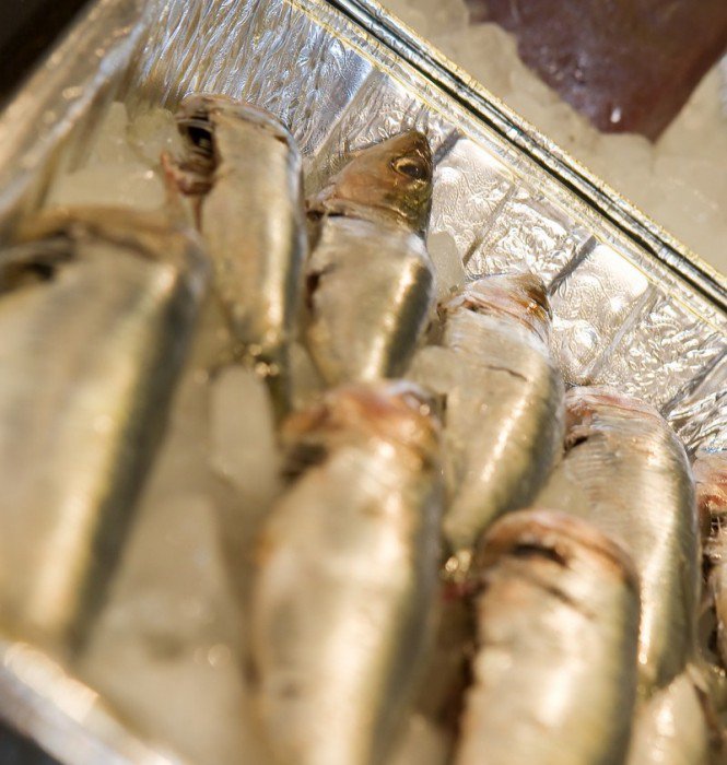 Hogyan vásároljunk halat? - STYLELIFE - Gasztronómia - +++konyham%C5%B1v%C3%A9szet, +++r%C3%A1k, ++hal, +f%C5%91z%C3%A9s, kagyl%C3%B3, 